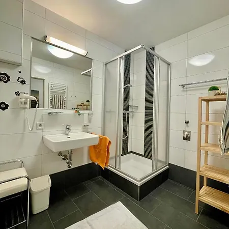 Apartment Penthouse Tamino 10 Schladming