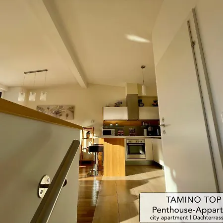 アパート Penthouse Tamino 10 シュラートミンク