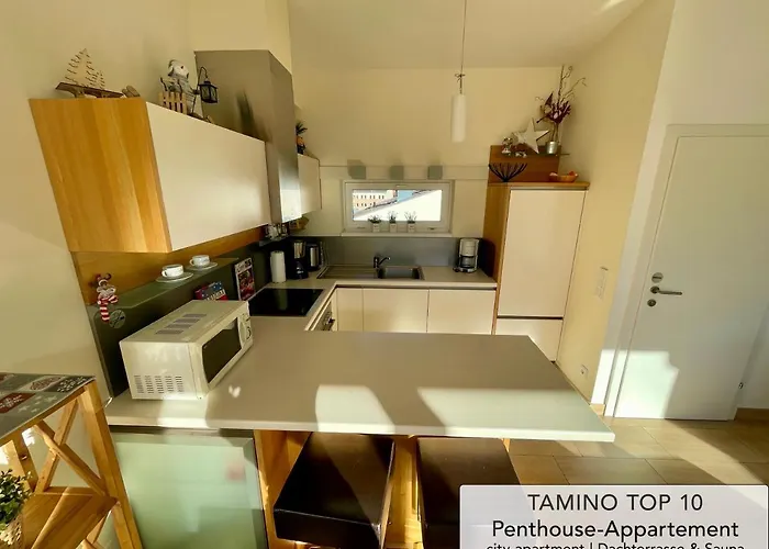 Penthouse Tamino 10 Lägenhet Schladming